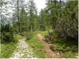 Passo Staulanza - Monte Pena